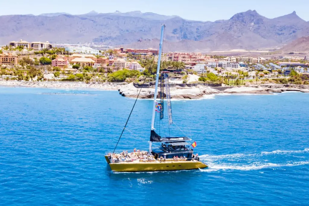 Freebird Whale Watching Costa Adeje – 3 Hour Catamaran Trip