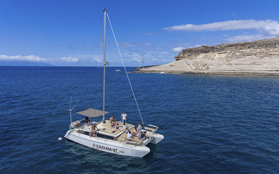 Kalima Kat Catamaran Excursion & Whale Watching in Tenerife 2