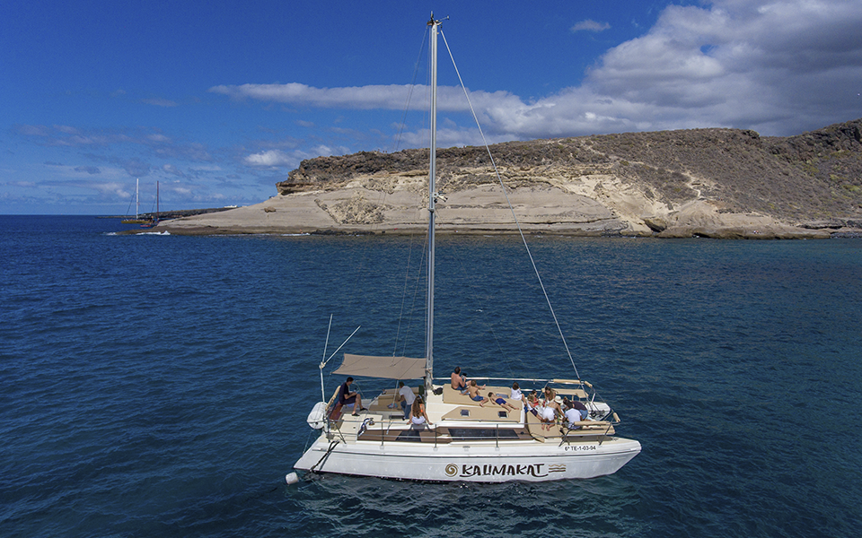 Kalima Kat Catamaran Excursion & Whale Watching in Tenerife