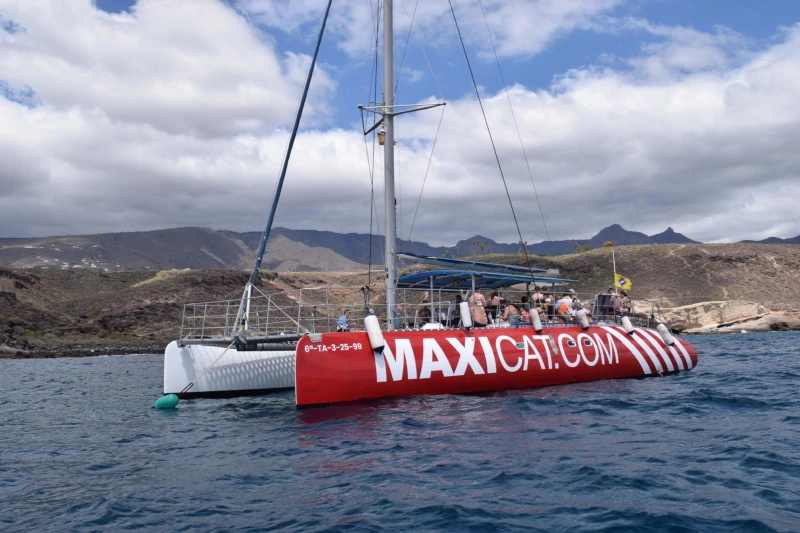 Maxicat Whale Watching Tenerife – 3 Hour Catamaran Excursion